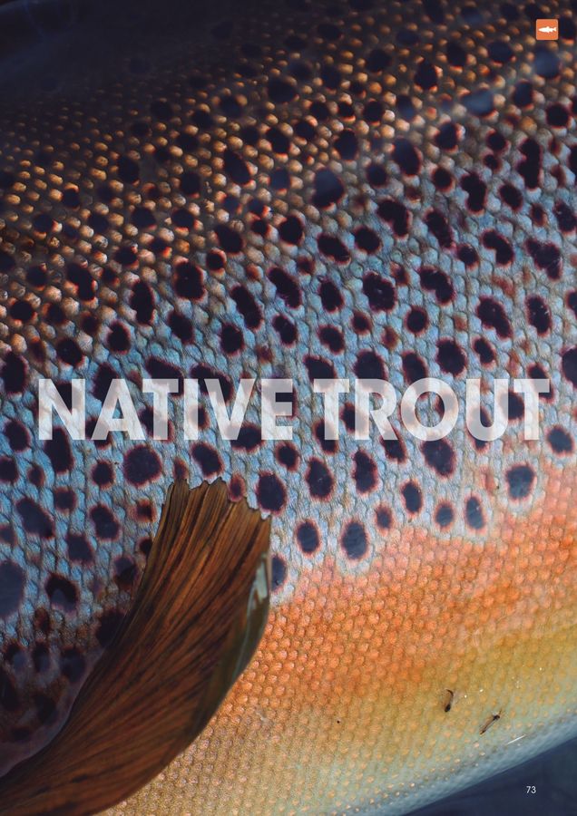 SMITH FISHING TACKLE CATALOG 2024