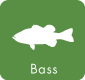 bass