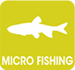 microfish
