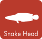 snakehead