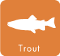 trout