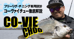 CO-VIE CHOO徹底解析