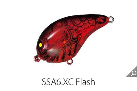 B05SL_limited_SSA6.jpg