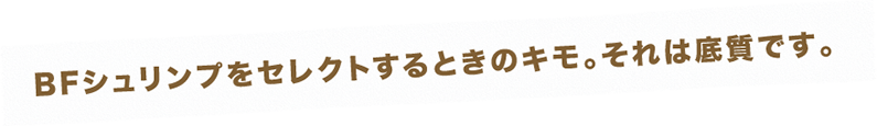 BFシュリンプをセレクトするときのキモ。それは底質です。