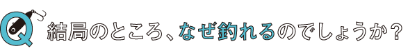 秘密：結局のところ、なぜ釣れるのでしょうか？